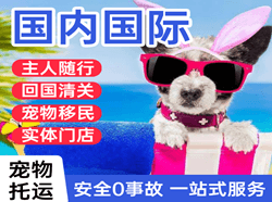 漠河古莲机场快递国际宠物托运 【国